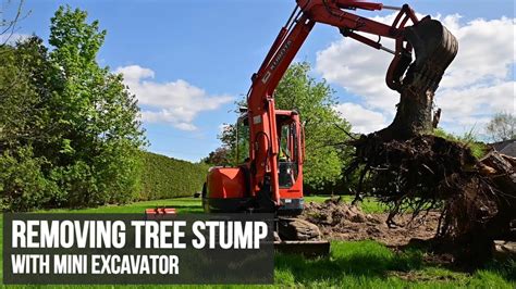 clearing trees with mini excavator|removing large trees with excavators.